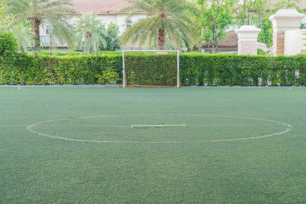 zielone boisko do piłki nożnej a w tle palmy